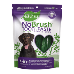 Large NoBrush Toothpaste